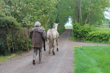 L'attelage à El Gaucho