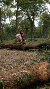 Equitation d'extérieur