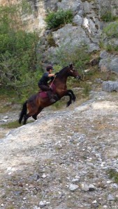 Equitation d'extérieur