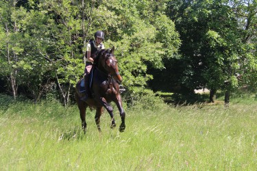 Equitation d'extérieur