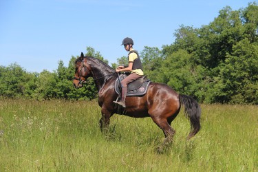 Equitation d'extérieur