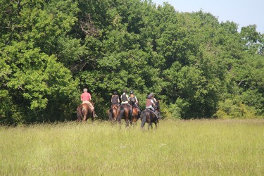 Equitation d'extérieur