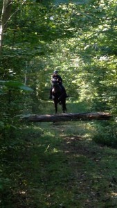 Equitation d'extérieur