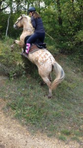 Equitation d'extérieur