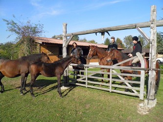 domaine des Lys du Gaucho