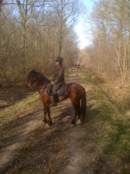 Elevage des Lys du Gaucho - la chasse