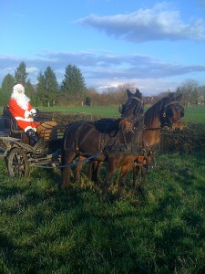 El Gaucho - Père Noël en calèche