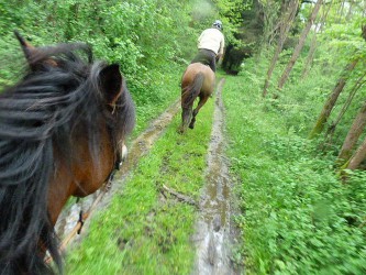 Elevage des Lys du Gaucho - randonnée