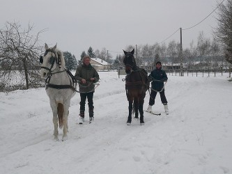 Ski joering à El Gaucho